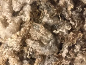 Lambs Wool