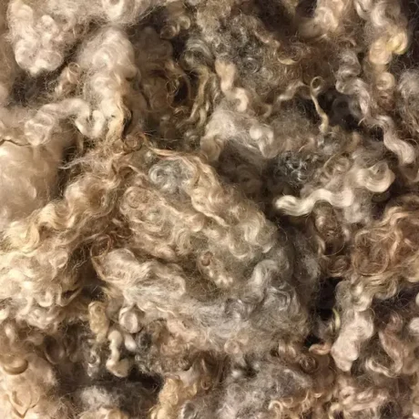 Vegetarian Rugs